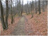 Dolenja vas (Kosmulj) - Ključ